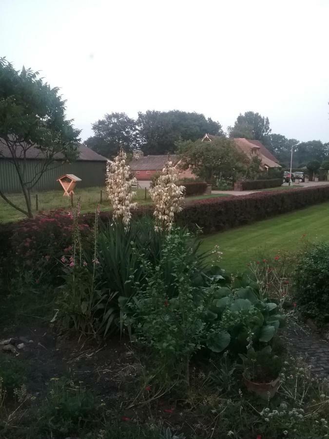 B&B An De Kraloerweg Ruinen Exterior photo